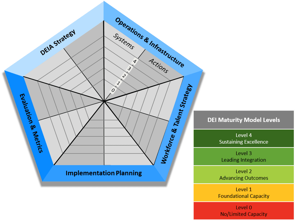 DiverseUSA Maturity Model